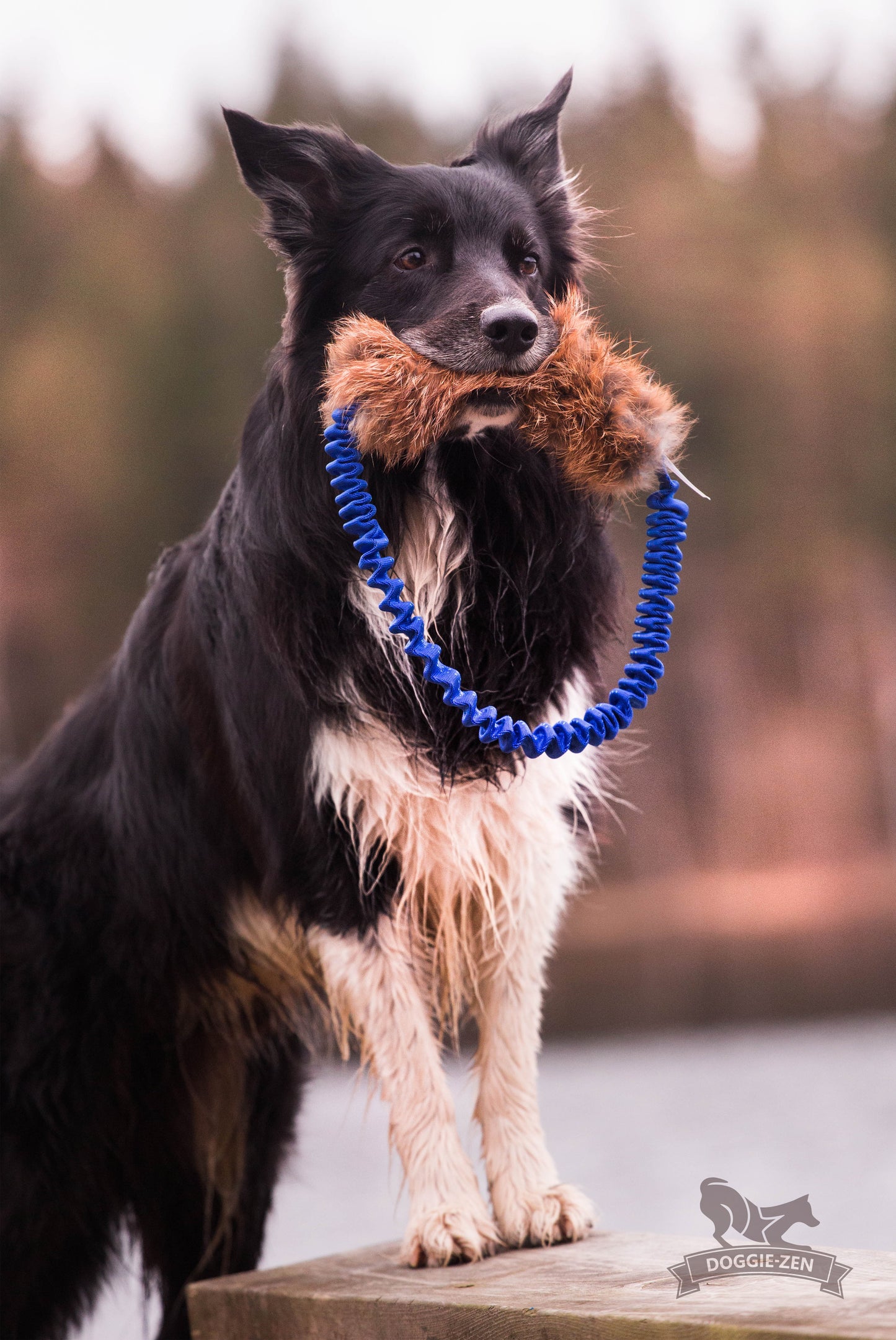 Doggie - Zen Kampring i Rev eller Kanin