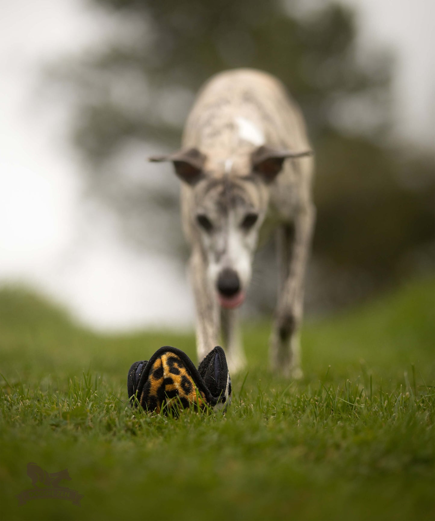 Doggie-zen Belønningsball Med Knitring