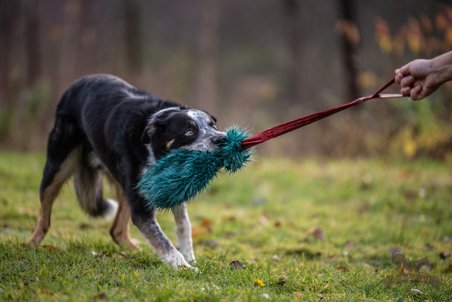 Doggie-zen flaskeleke