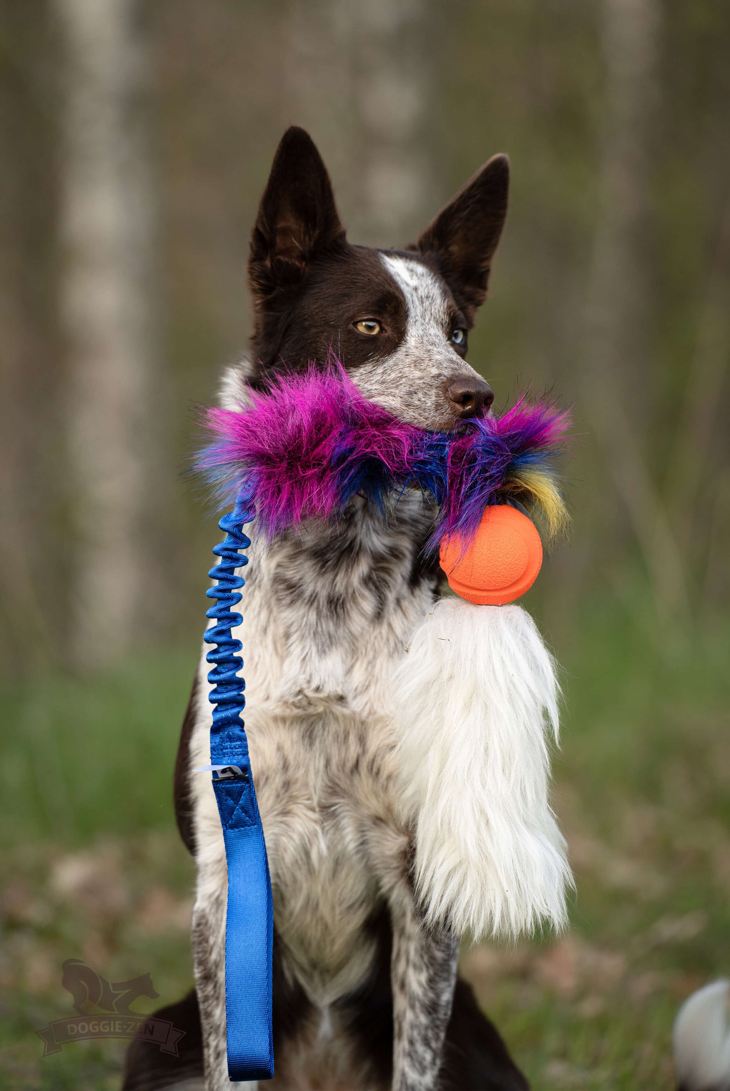Doggie-zen Elastisk Kampleke i fuskepels med Chuckit og saueskinn