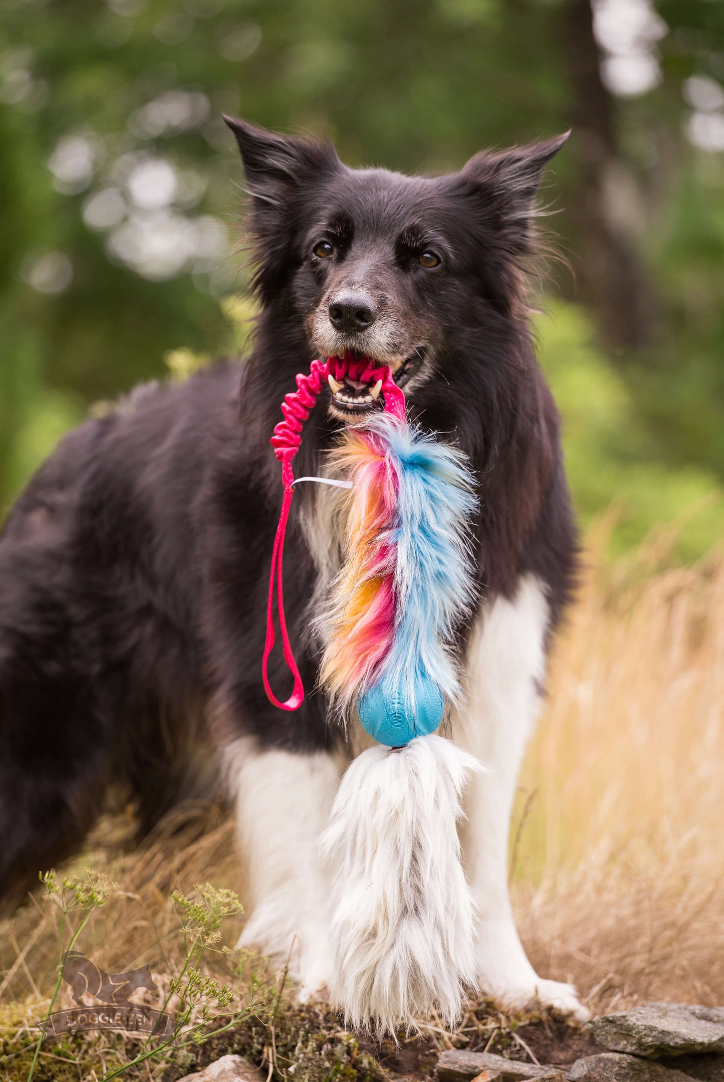 Doggie-zen Elastisk Kampleke i fuskepels med Chuckit og saueskinn