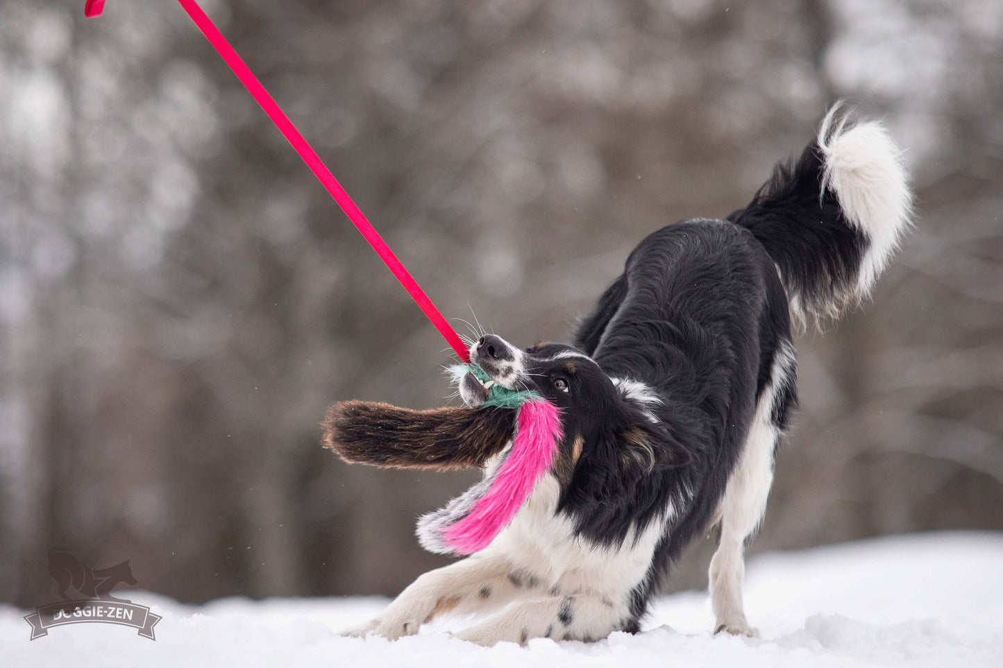 Doggie - Zen Blekksprutjaktleke