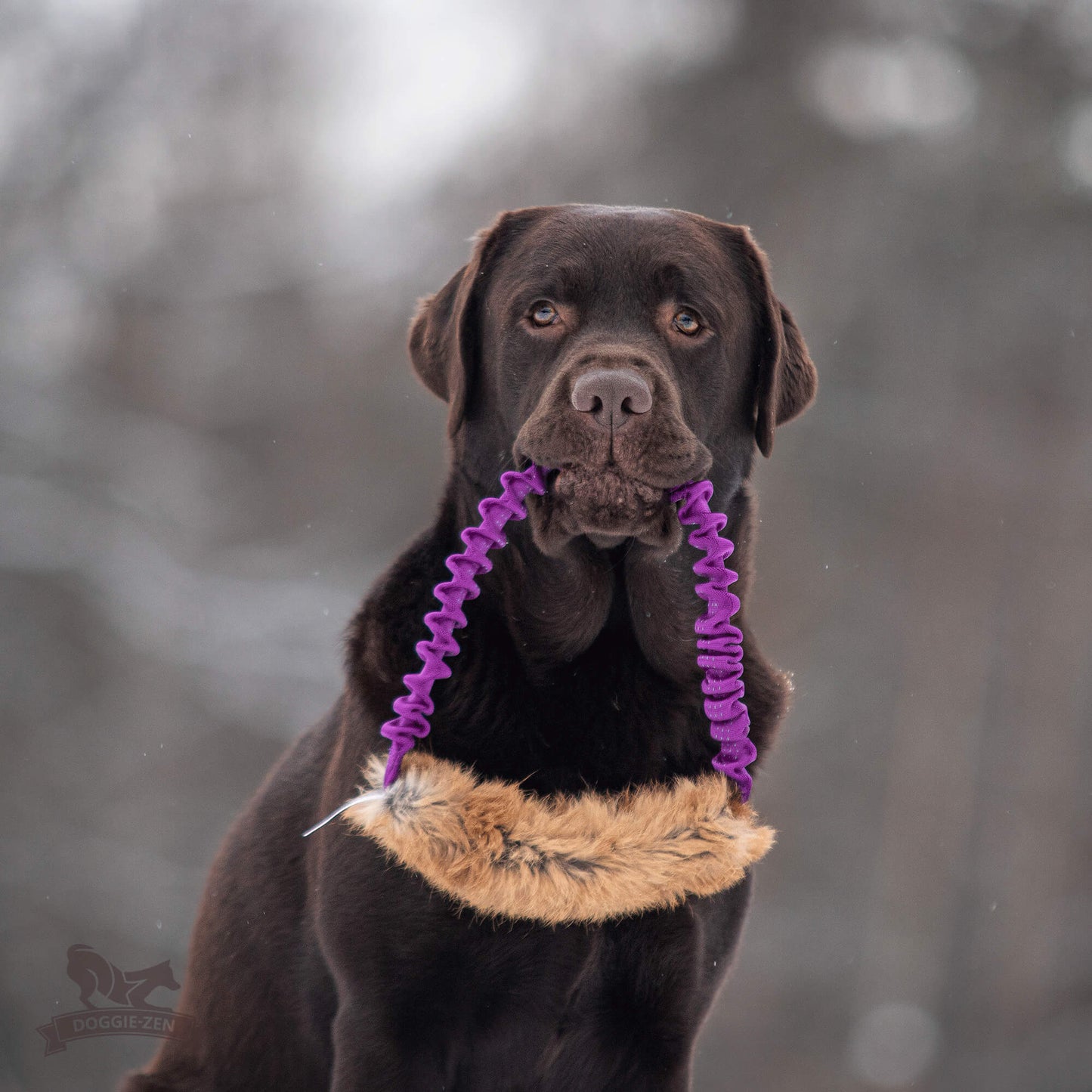 Doggie - Zen Kampring i Rev eller Kanin