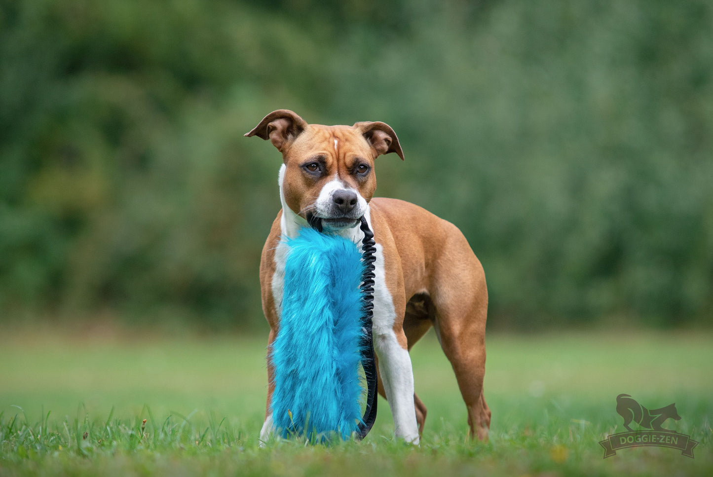Doggie-zen flaskeleke