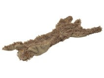 Roadkill hare
