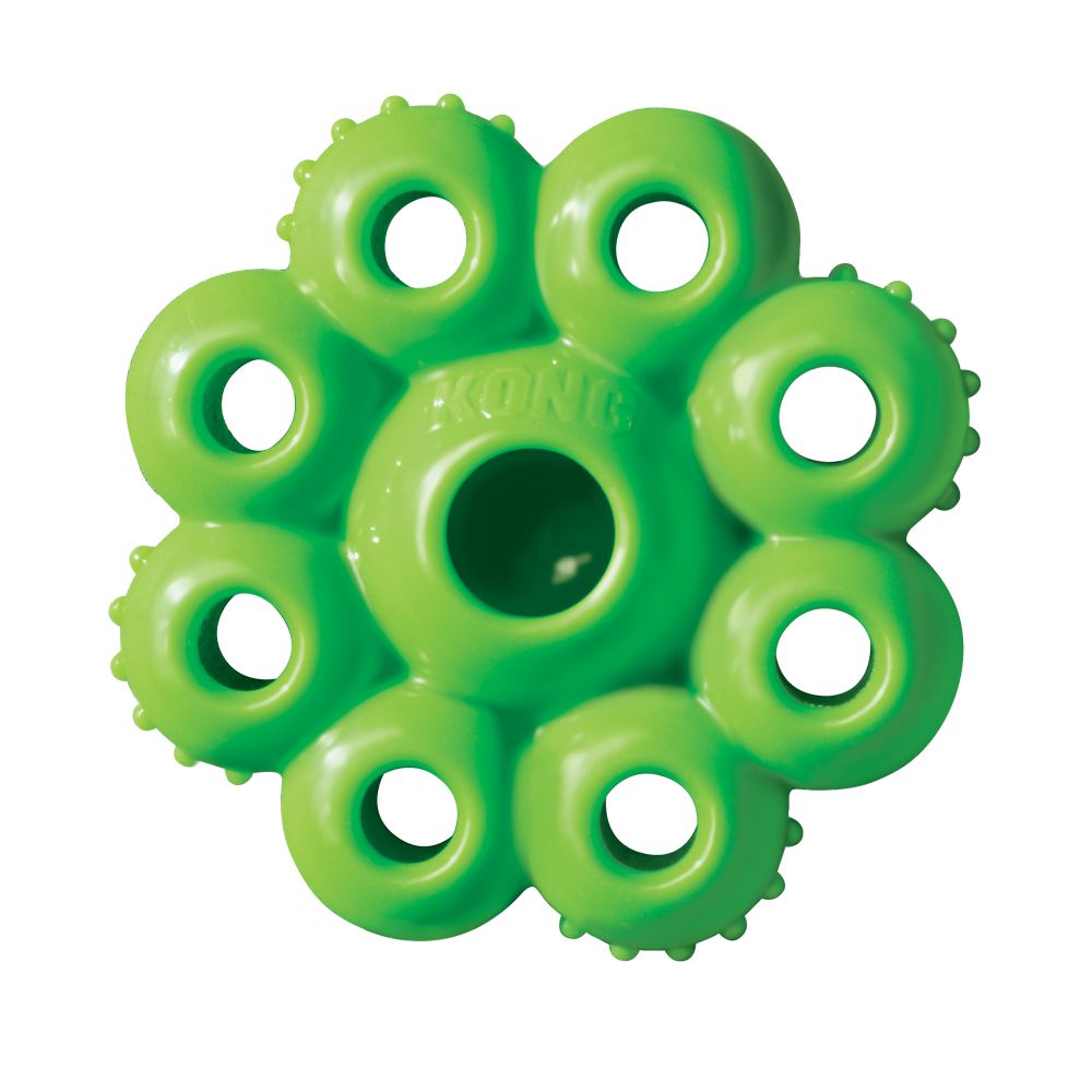 Kong quest starpod