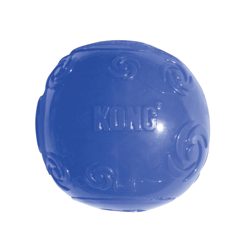 Kong squeezz ball