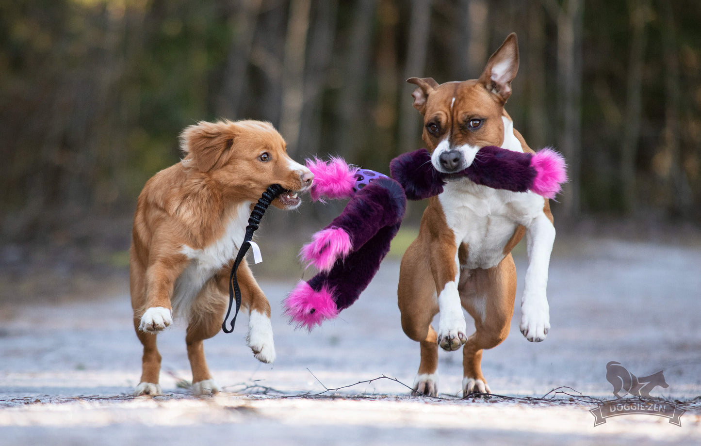 Doggie-zen trearmet blekksprutdraleke