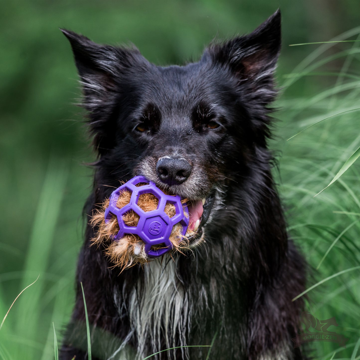 Doggie - Zen Pelsfyll til Hol-ee ball