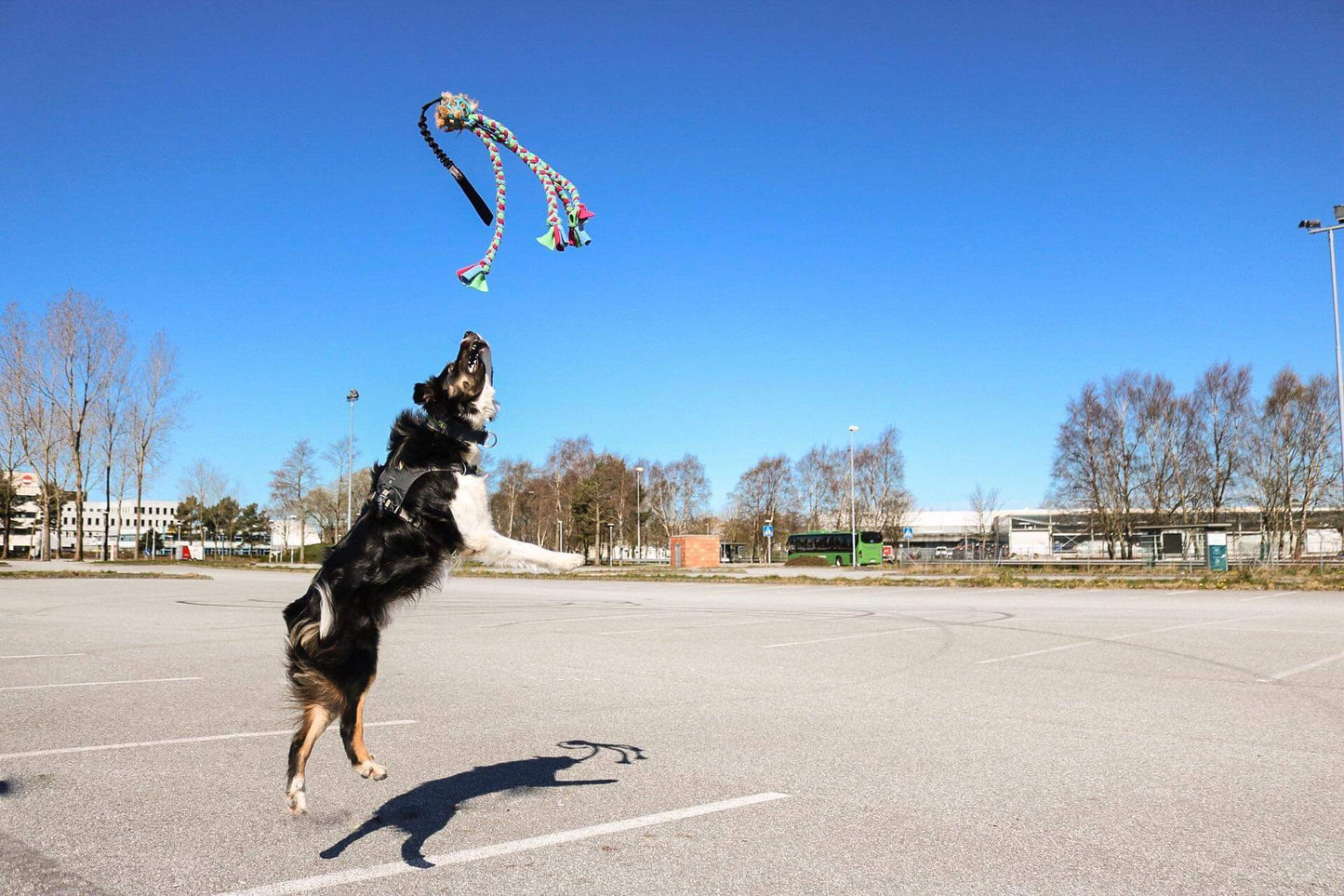 Doggie - Zen Hol-ee blekksprut med fleece fletter
