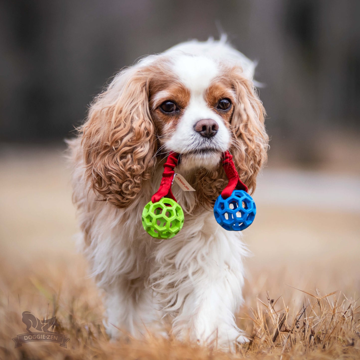 Doggie - zen balleke med strikk