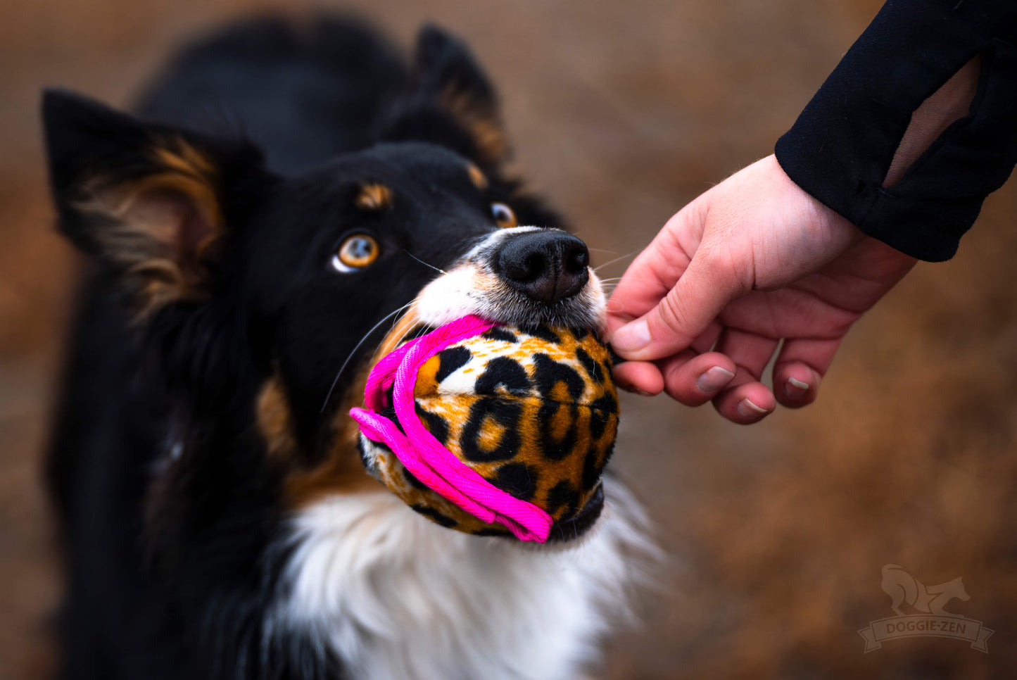 Doggie-zen Belønningsball Med Knitring