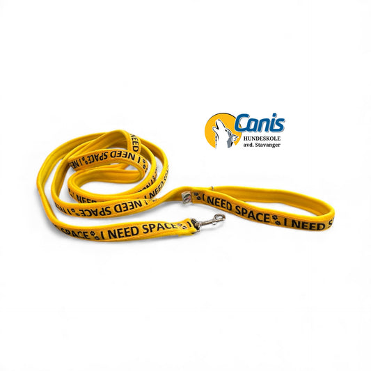 Rainbeau I need space  - bånd