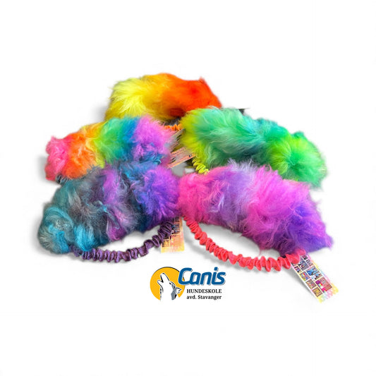 Rainbeau saueskinnring