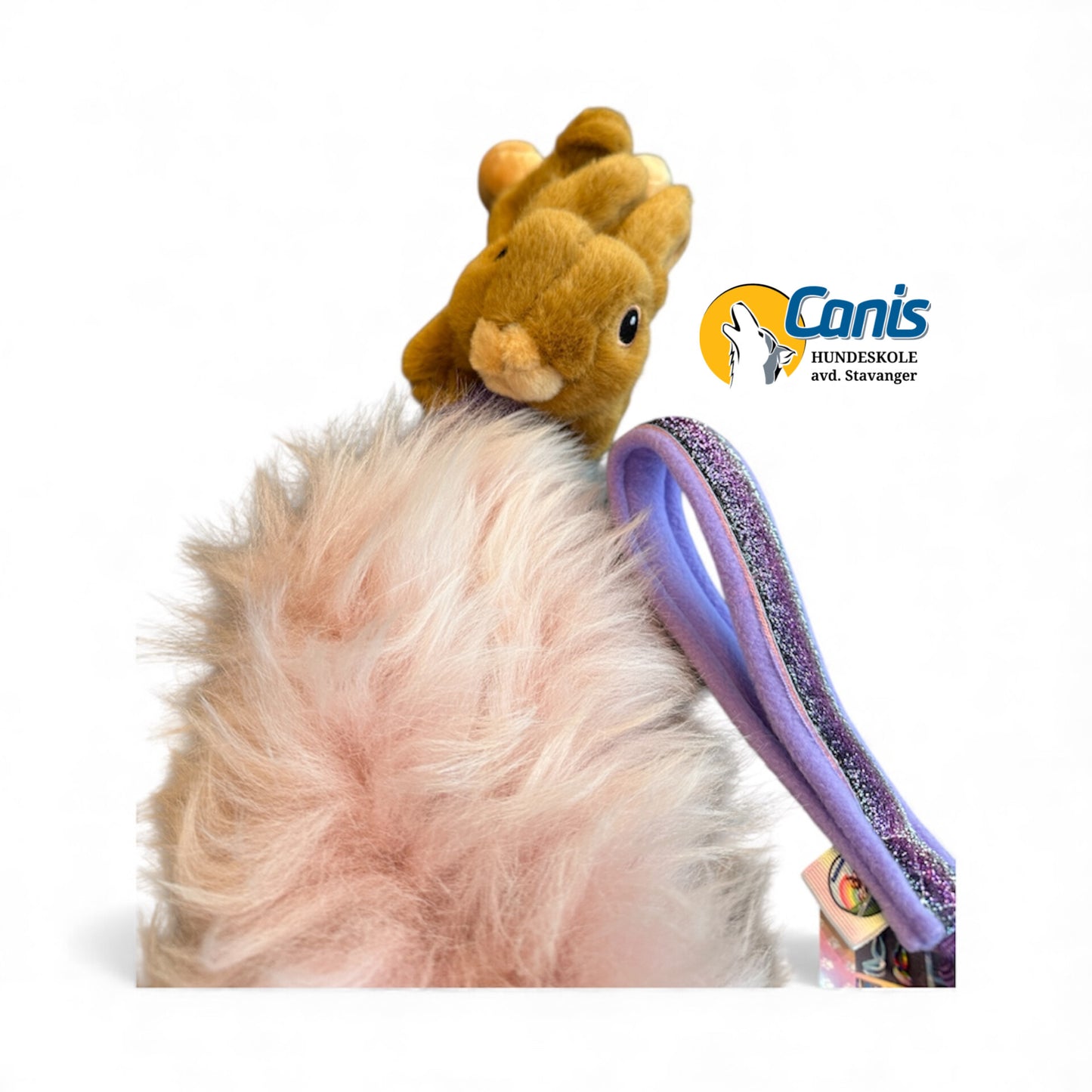 Rainbeau knitre dyr med sau