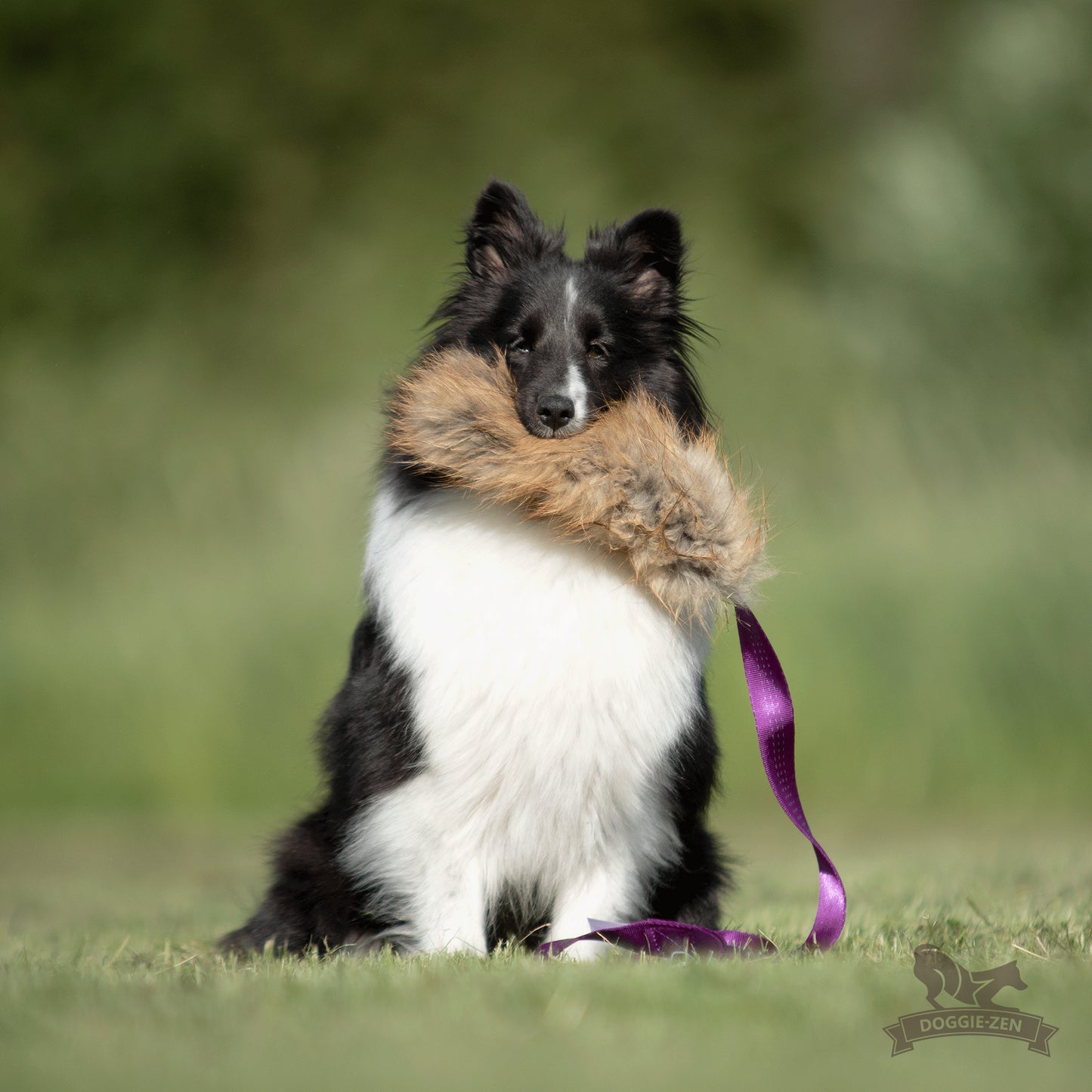 Doggie-zen Rev Jager Jaktleke L