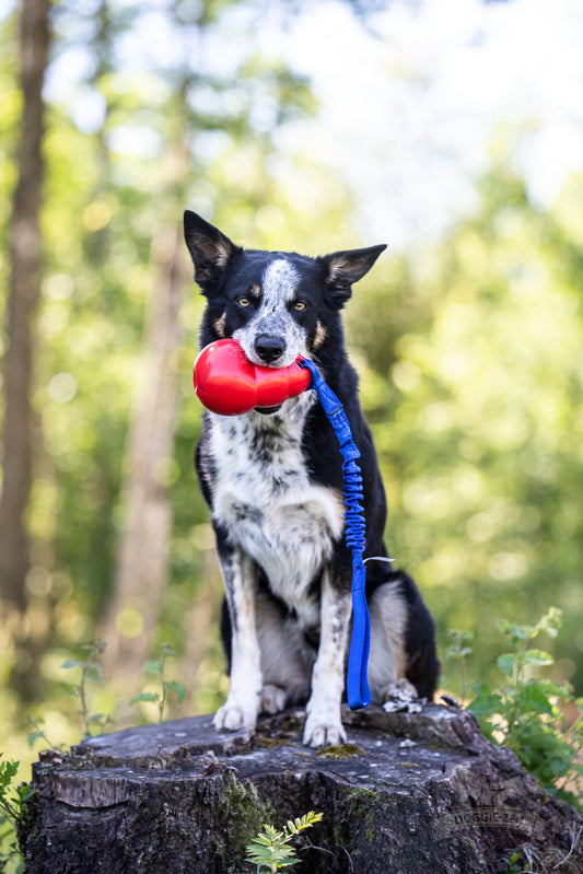 Doggie - Zen Kampleke bouncer kort håndtak